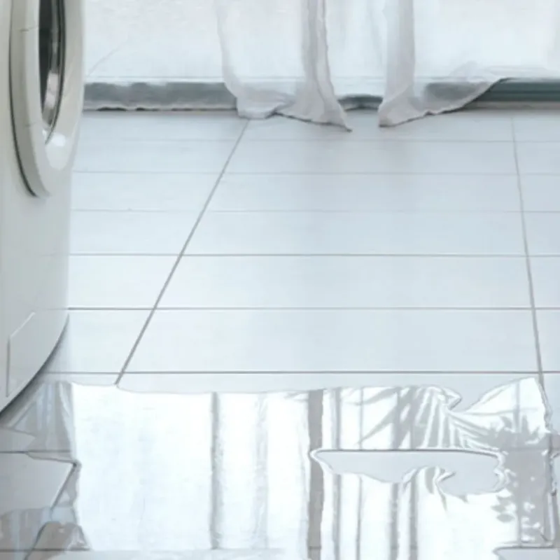 Appliance Leak Cleanup in Bonita Springs, FL